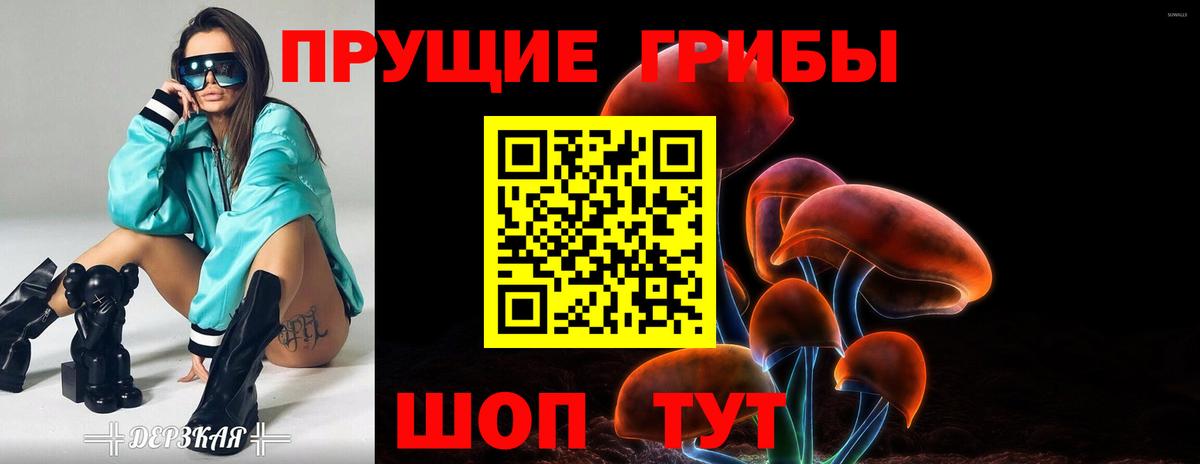 Галлюциногенные грибы Psilocybe  Галлюциногенные грибы Psilocybine cubensis  Вход с VPN  Саратов 